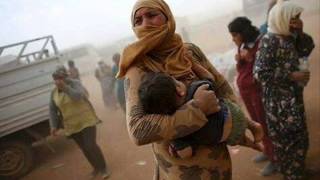 ~ Denge Kürdi Héré Lélé Kalbumé