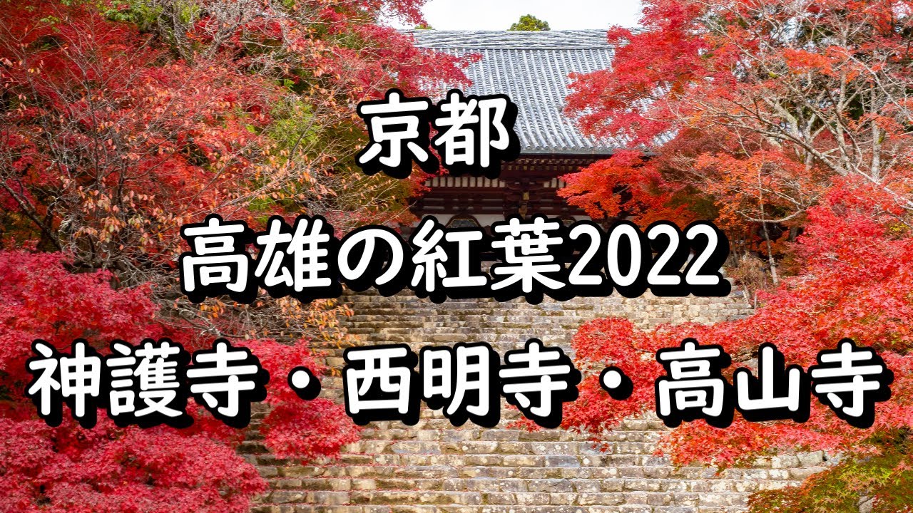 京都 高雄の紅葉22 神護寺 西明寺 高山寺 Youtube