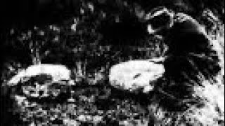 Famous THE DEMISE OF BETSY GRAY AT THE BATTLE OF BALLYNAHINCH 1798 The Church History Trail ￼ Net Worth