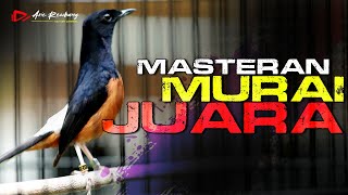 MASTERAN TEMBAKAN MURAI BATU JUARA