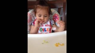 3/23/16 - More corn