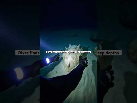 Diver finds Ancient Alien Artifact