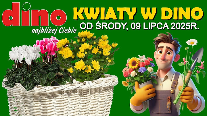 MARKET DINO | Nowa Oferta od Środy 09.07.2025 | Kwiaciarnia Dino | Tanie Kwiaty