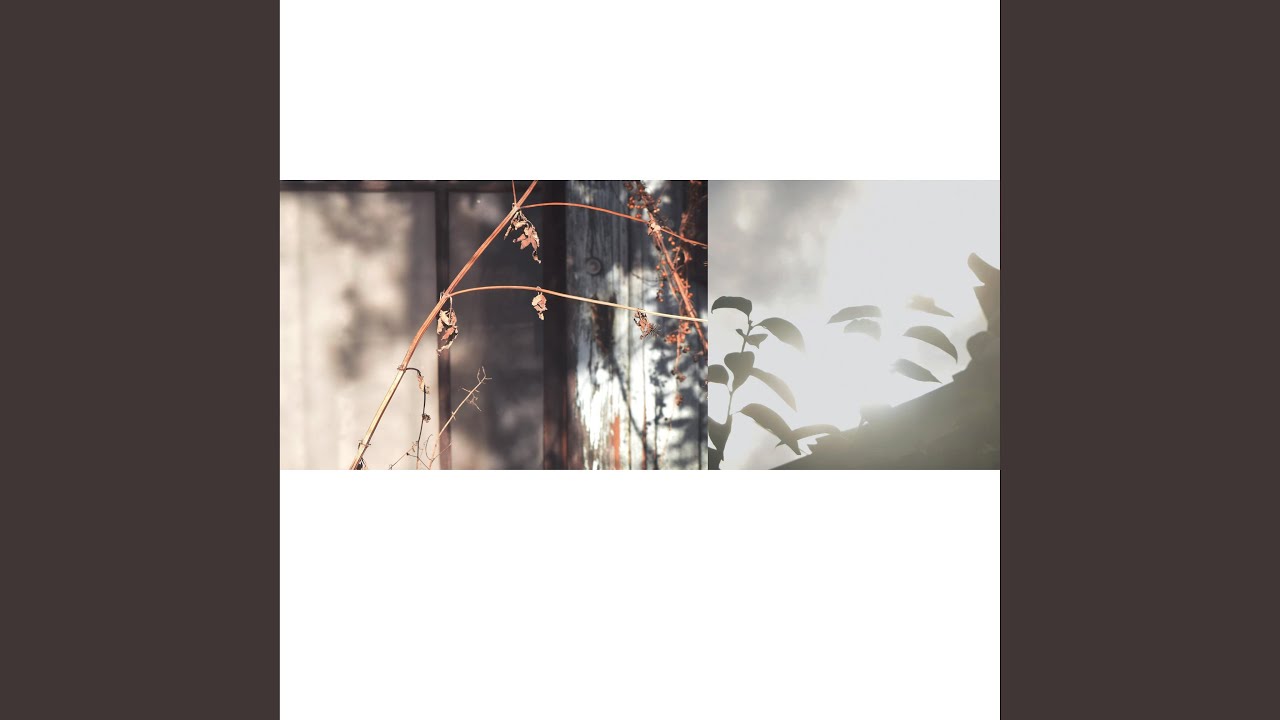 Guarda Feel su YouTube Guarda Feel su YouTube