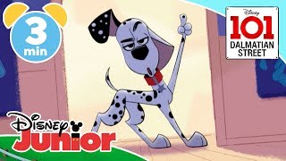 101 Dalmatian Street | Dylan The Space Dog In Love 🌙 | Disney Kids