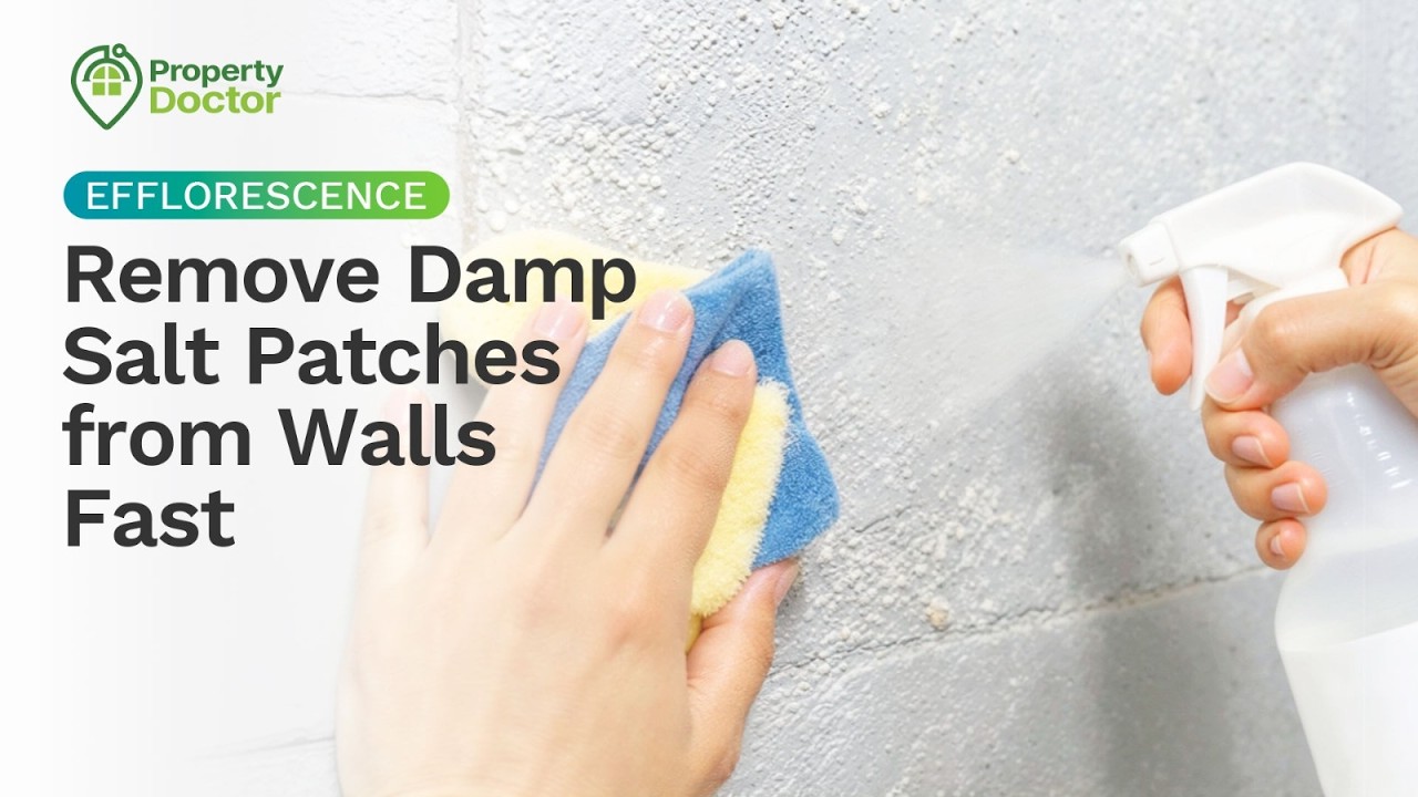 Salt Patch Efflorescence | Remove Damp Salt Patches from Walls Fast - YouTube