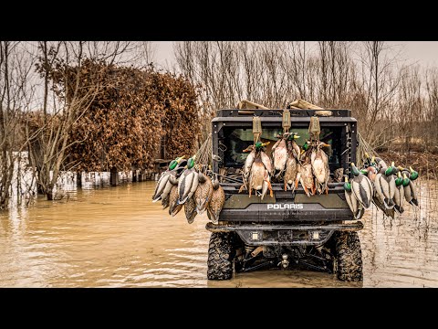 DUCK HUNTING FLOODED WILLOWS IN ARKANSAS!! Mallards, Gadwall, Wigeon, & Teal from Epic Duck Blind!