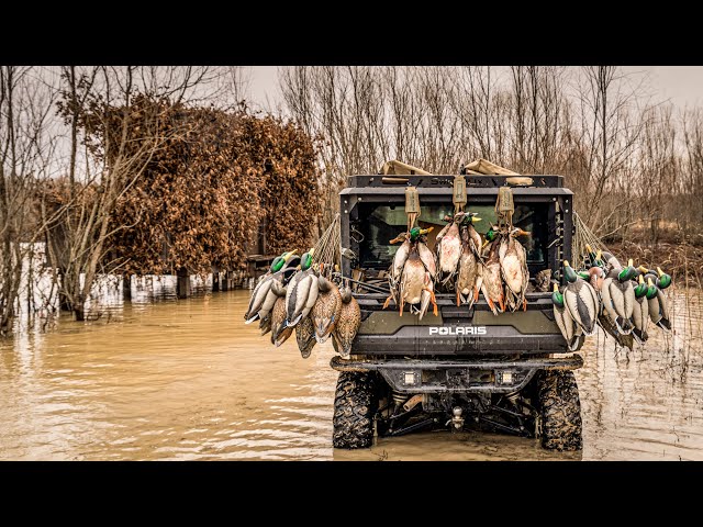 DUCK HUNTING FLOODED WILLOWS IN ARKANSAS!! Mallards, Gadwall, Wigeon, & Teal from Epic Duck Blind! class=