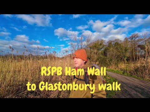 RSPB Ham Wall to Glastonbury Walk.
