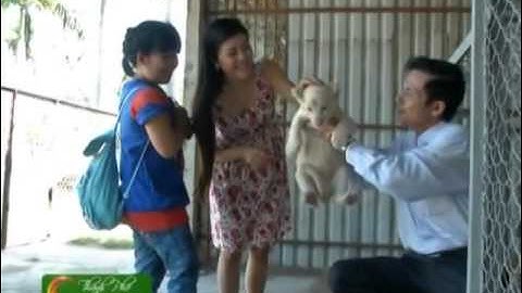 Công viên nước Củ Chi 1