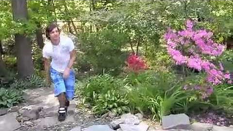 Taming of the Shrew with Song