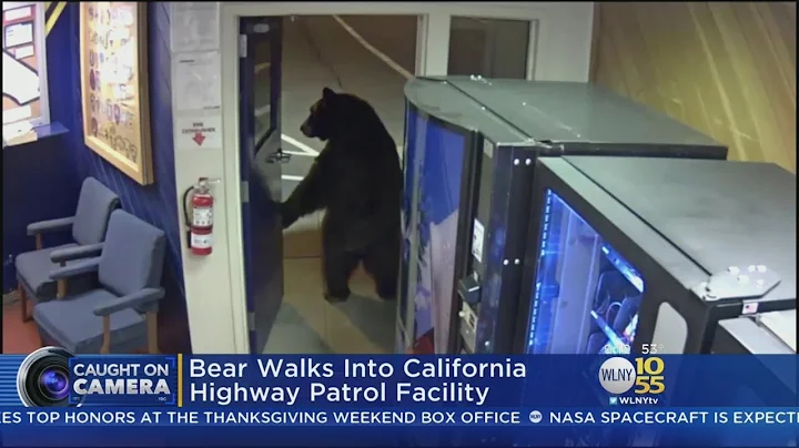 Bear Walks Into California Police Station