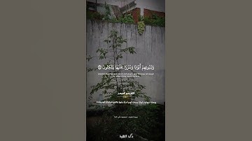 ولولا أن يكون الناس أمة واحدة | سورة الزخرف | محمود علي البنا #quran