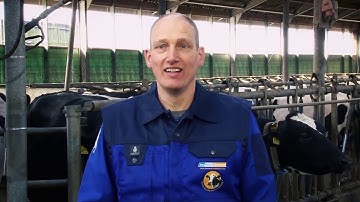 Melkveehouderij Schoorlemmer over de MR-S1 melkrobot van BouMatic Robotics