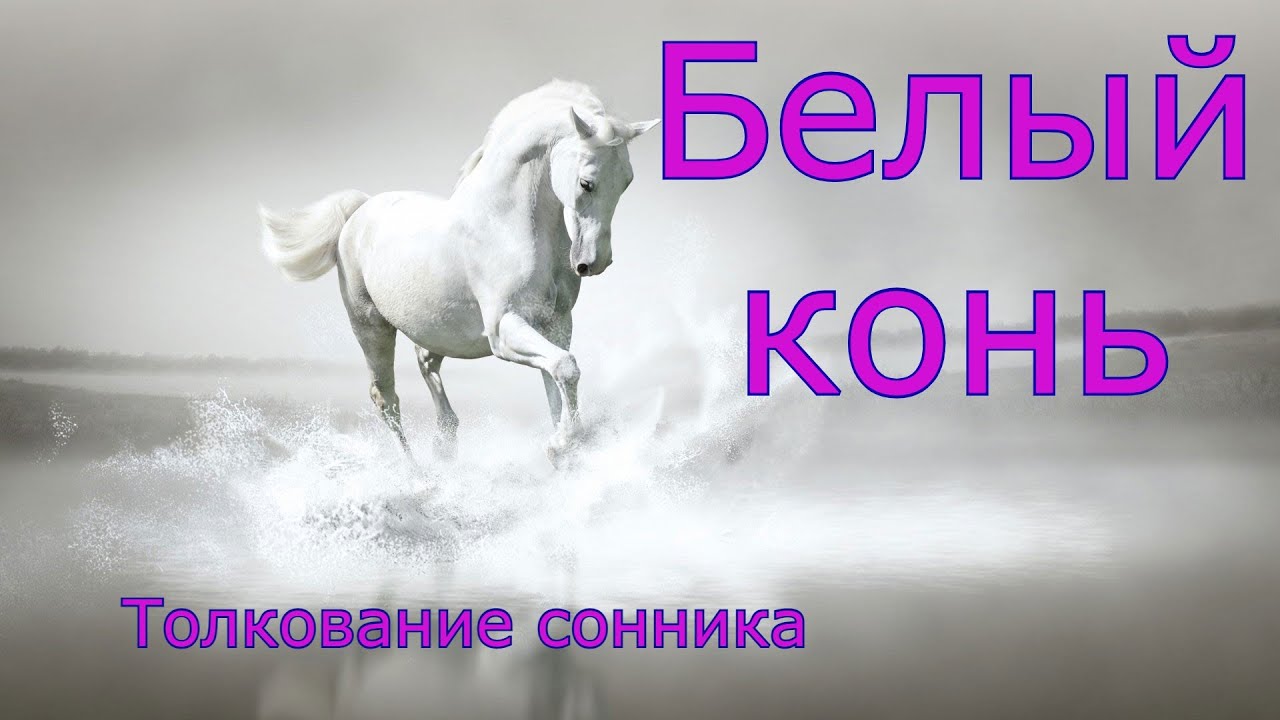 Белый конь - толкование сонника