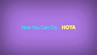 NOW YOU CAN CRY - HOYA [VIDEO LYRIC]