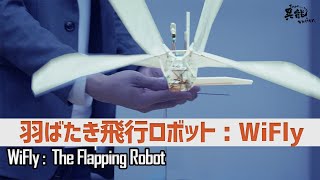 羽ばたき飛行ロボット「WiFly」【異能vation 特別編集版】