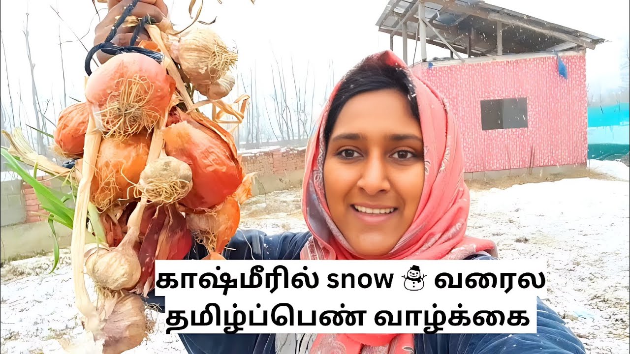 காஷ்மீரில் snow வரைல தமிழ்ப்பெண் வாழ்க்கை #snow #vlog #kashmir #tamil