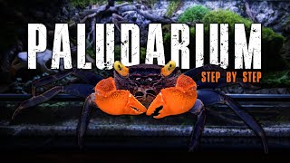 Building a Bioactive Paludarium for Vampire Crabs