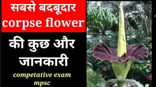 corpse flower and its speciality