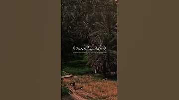 ❤️✨الذي خلقني فهو يهدين✨❤️ #اكسبلور #لايك #تلاوة_خاشعة