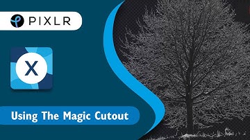 Quick & Easy Series: Magic Cutout in Pixlr X