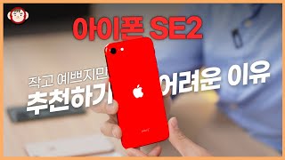 아이폰 SE 2세대, 함부로 추천드리기 어려운 이유