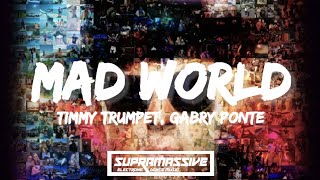 Timmy Trumpet & Gabry Ponte - Mad World (Lyrics/Lyric Video) Resimi