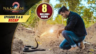 Naagmani 2 (नागमणि 2) - Episode 5 & 6 - Recap | The Biggest Twist | Naagin | Naag Money - Season 2