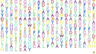 Gene Music Using Protein Sequence Of Slc25A2 Solute Carrier Family 25 Mitochondrial Carrier Orni