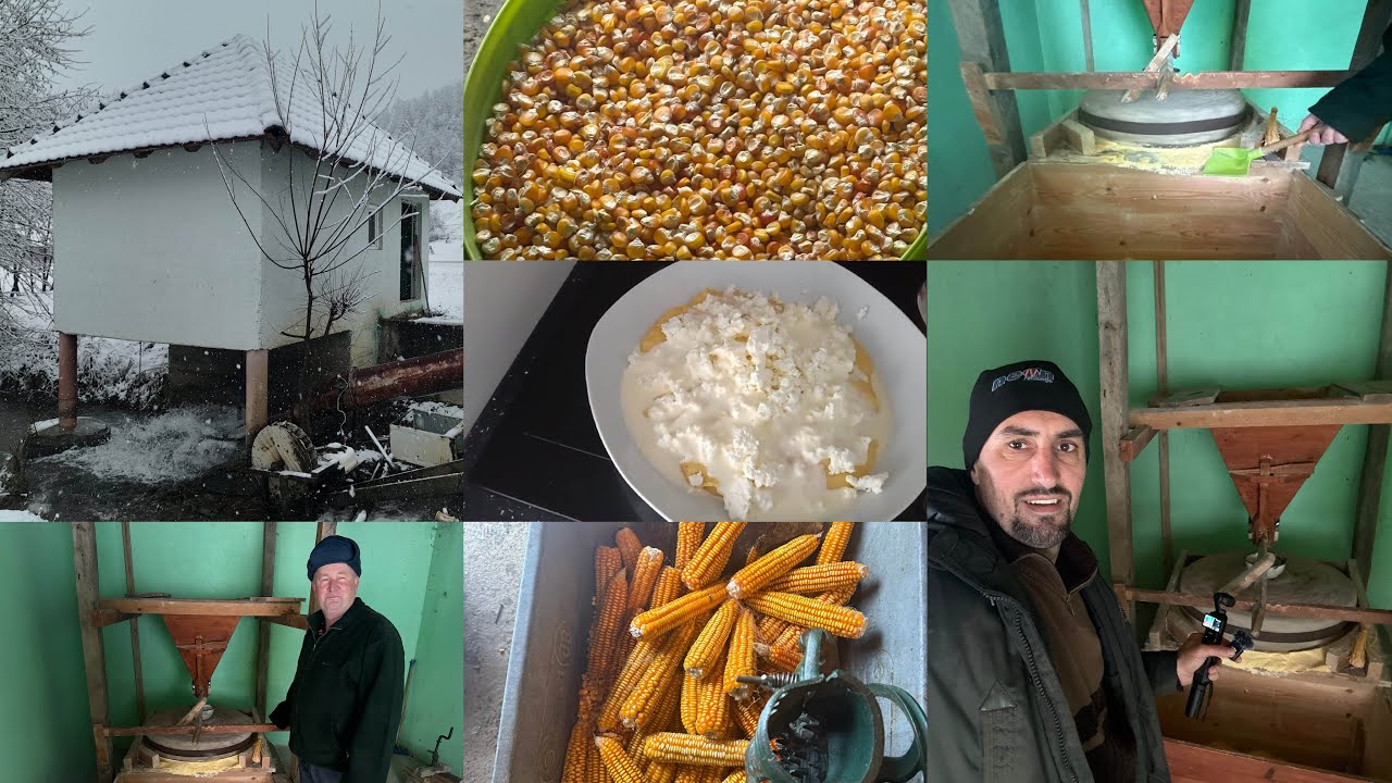 Punicino ŽITO /  Samljeo sam žito kao u stari vakat u mlinu starom preko 200 godina