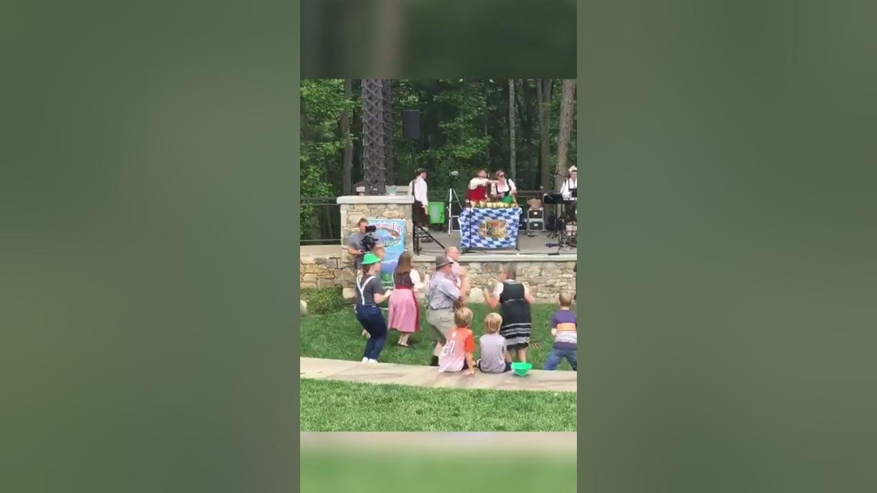 The Chicken Dance Song