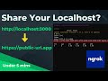 Share your Localhost? | Install NGROK | Windows 11/10