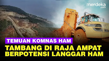 Komnas HAM Ungkap Temuan Kuat Tambang di Raja Ampat Papua Berpotemsi Langgar HAM
