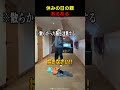 全世界共通？休みの日の親あるある！