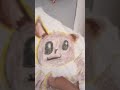 Eevee bailando a mi novio pikachu jajajaja 