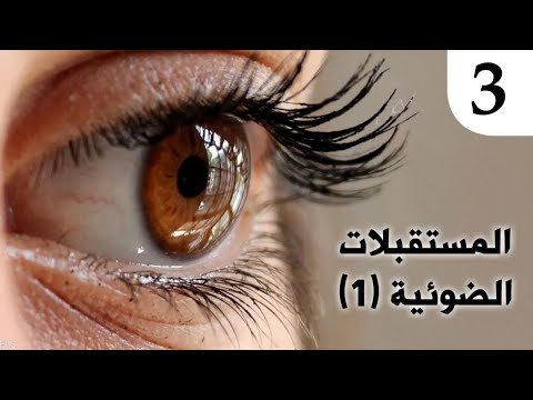 علم الأحياء المستقبلات الضوئية 1 الخلايا البصرية د حسن حسين