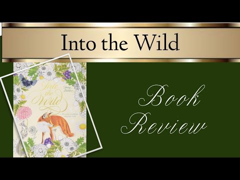 into the wild book critics into the wild book critics