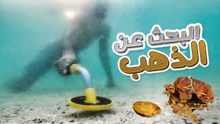 رحلة البحث عن الذهب تحت البحر! 💰 Metal Detecting #1