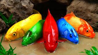 Best Of Small Fish Recipe | MINIATURE Fish Cooking Made EASY with Simple Recipe