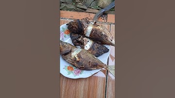 Bakar ikan laut segar,sambal kecap||#shorts