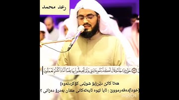 رعد الكردي سورة النمل