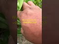 -998889572727