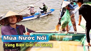 Mùa Nước Nổi 2025 – Sông Nước Miền Tây, Chợ Vùng Biên Tấp Nập Cá Đồng