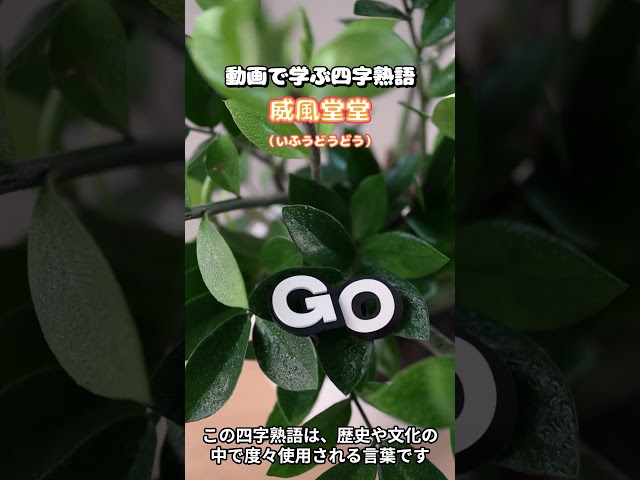 威風堂々(いふうどうどう)NEW!