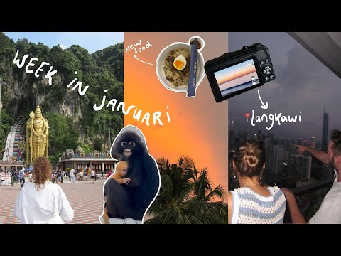 week in mijn leven: januari week in mijn leven: januari