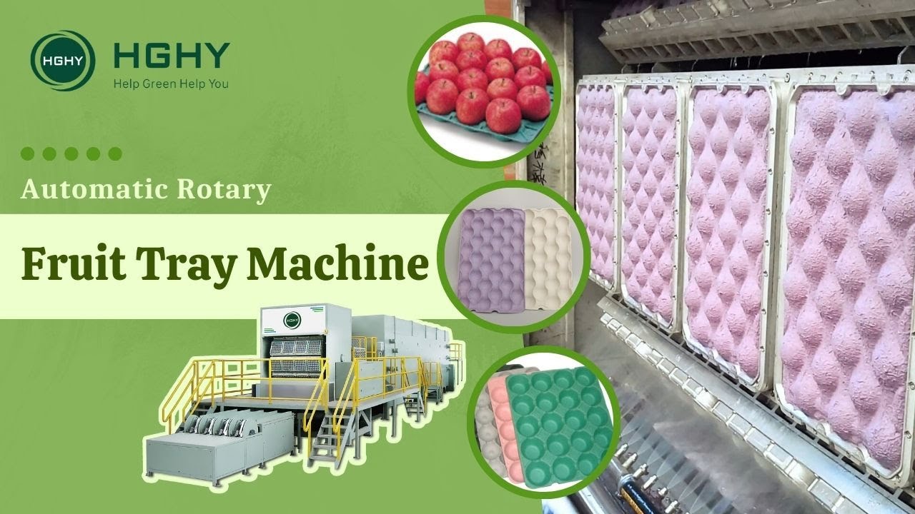 Automatic Rotary Fruit Tray Machine
