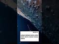 Yang Anda lihat di sini adalah kapal besar yang sedang dibersihkan karena adanya biofouling.