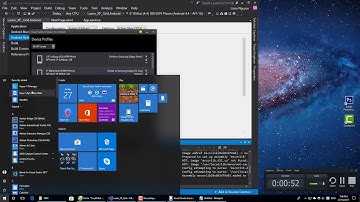 Could not connect to the debugger