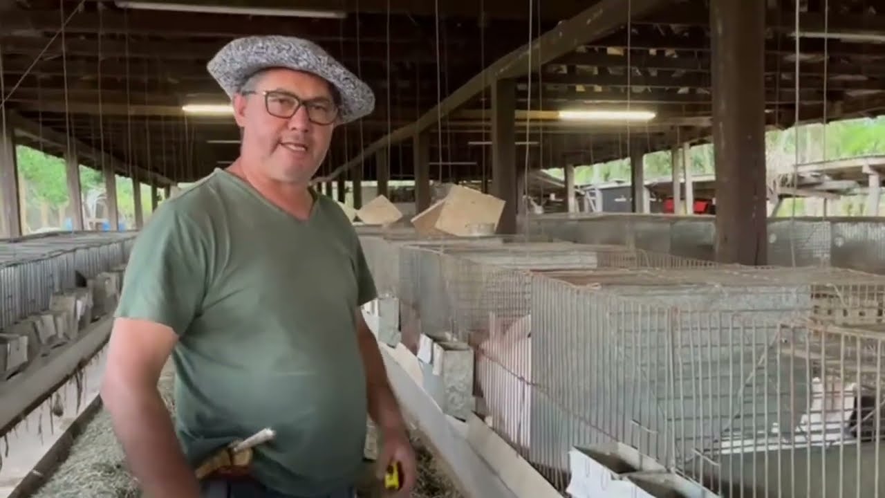 CONHEÇA A CRIAÇÃO DE COELHO DO VICTOR COSTA